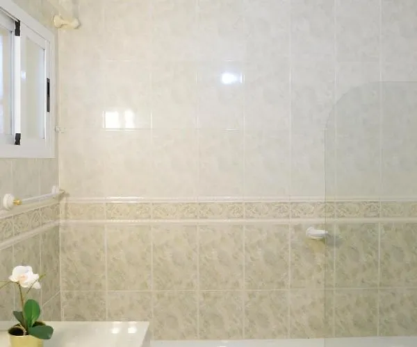 Greenday * 圣乌尔苏拉