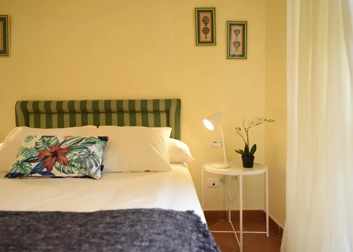 Greenday * Santa Úrsula