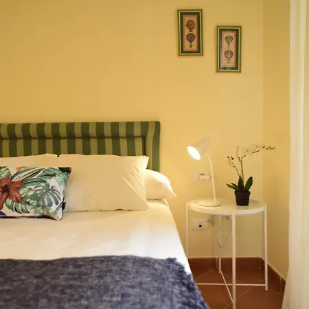 Greenday * סנטה אורסולה